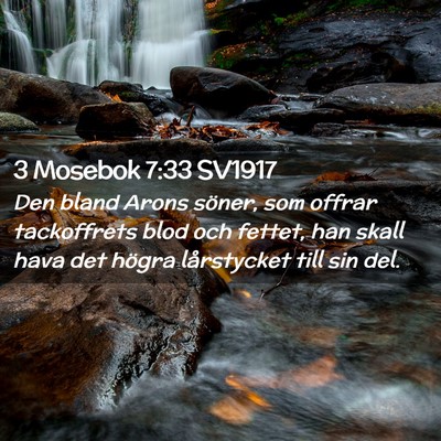 Picture 02 - 3 Mosebok 7:33 SV1917 - Den bland Arons söner, som offrar tackoffrets - Bible Verse Picture