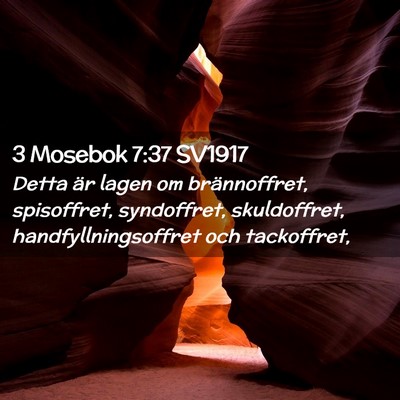 Picture 02 - 3 Mosebok 7:37 SV1917 - Detta är lagen om brännoffret, spisoffret, - Bible Verse Picture