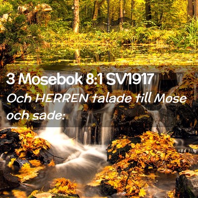 Picture 02 - 3 Mosebok 8:1 SV1917 - Och HERREN talade till Mose och - Bible Verse Picture