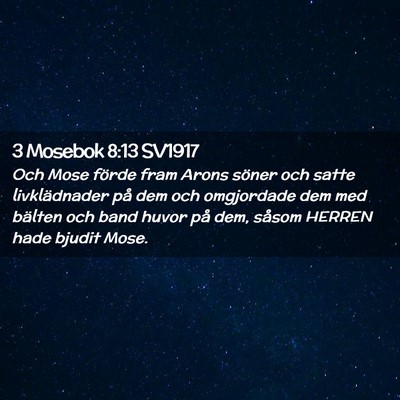 Picture 02 - 3 Mosebok 8:13 SV1917 - Och Mose förde fram Arons söner och satte - Bible Verse Picture