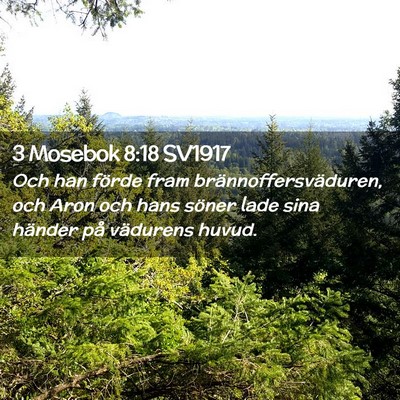 Picture 02 - 3 Mosebok 8:18 SV1917 - Och han förde fram brännoffersväduren, och - Bible Verse Picture
