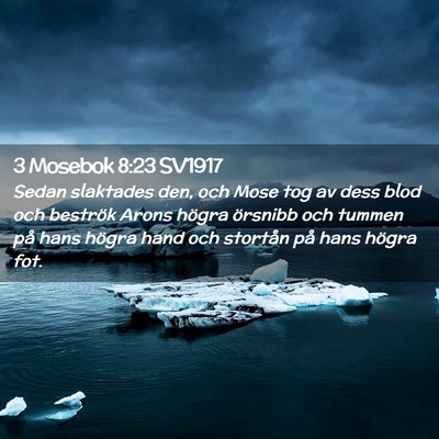 Picture 02 - 3 Mosebok 8:23 SV1917 - Sedan slaktades den, och Mose tog av dess blod - Bible Verse Picture