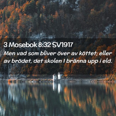 Picture 02 - 3 Mosebok 8:32 SV1917 - Men vad som bliver över av köttet; eller av - Bible Verse Picture