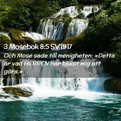 Picture 02 - 3 Mosebok 8:5 SV1917 - Och Mose sade till menigheten: »Detta är vad - Bible Verse Picture