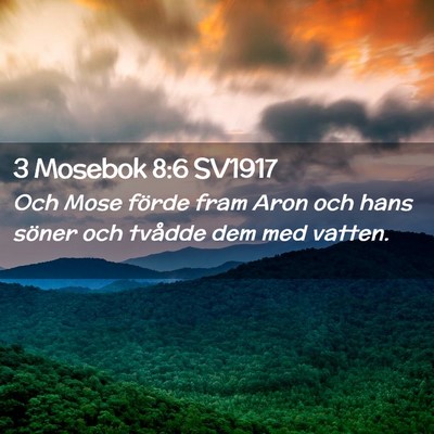 Picture 02 - 3 Mosebok 8:6 SV1917 - Och Mose förde fram Aron och hans söner och - Bible Verse Picture