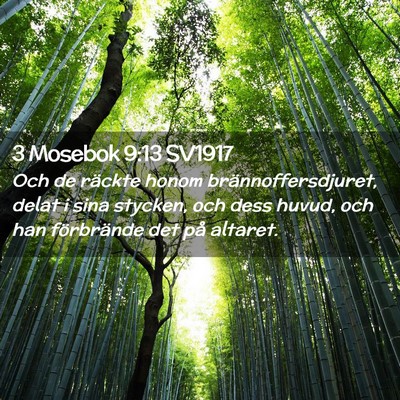 Picture 02 - 3 Mosebok 9:13 SV1917 - Och de räckte honom brännoffersdjuret, delat i - Bible Verse Picture