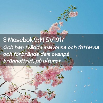Picture 02 - 3 Mosebok 9:14 SV1917 - Och han tvådde inälvorna och fötterna och - Bible Verse Picture