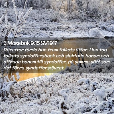Picture 02 - 3 Mosebok 9:15 SV1917 - Därefter förde han fram folkets offer. Han tog - Bible Verse Picture