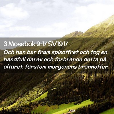 Picture 02 - 3 Mosebok 9:17 SV1917 - Och han bar fram spisoffret och tog en handfull - Bible Verse Picture