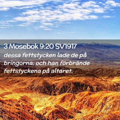 Picture 02 - 3 Mosebok 9:20 SV1917 - dessa fettstycken lade de på bringorna; och han - Bible Verse Picture