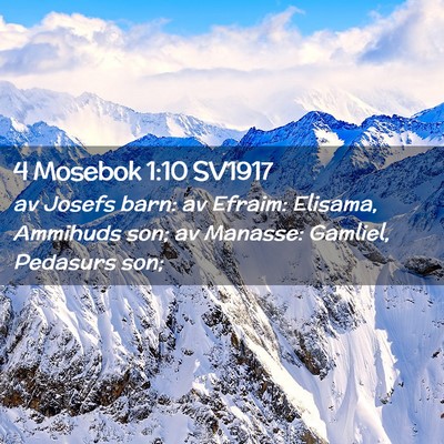 Picture 02 - 4 Mosebok 1:10 SV1917 - av Josefs barn: av Efraim: Elisama, Ammihuds son; - Bible Verse Picture