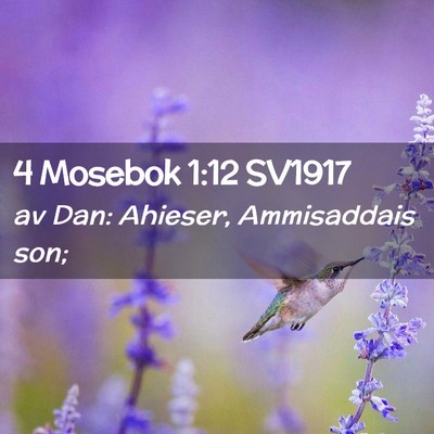 Picture 02 - 4 Mosebok 1:12 SV1917 - av Dan: Ahieser, Ammisaddais - Bible Verse Picture