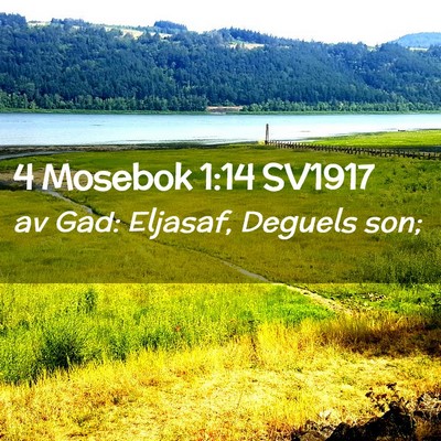 Picture 02 - 4 Mosebok 1:14 SV1917 - av Gad: Eljasaf, Deguels - Bible Verse Picture