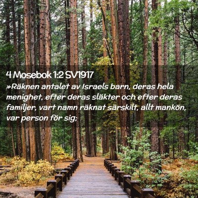 Picture 02 - 4 Mosebok 1:2 SV1917 - »Räknen antalet av Israels barn, deras hela - Bible Verse Picture
