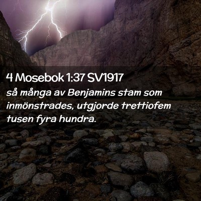 Picture 02 - 4 Mosebok 1:37 SV1917 - så många av Benjamins stam som inmönstrades, - Bible Verse Picture