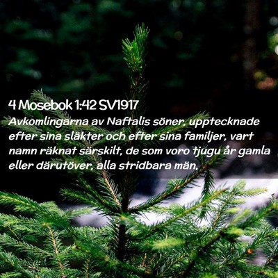 Picture 02 - 4 Mosebok 1:42 SV1917 - Avkomlingarna av Naftalis söner, upptecknade - Bible Verse Picture