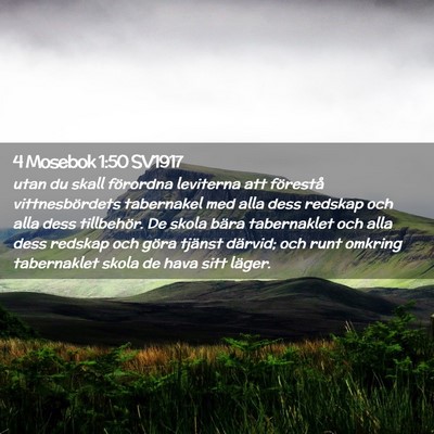 Picture 02 - 4 Mosebok 1:50 SV1917 - utan du skall förordna leviterna att förestå - Bible Verse Picture