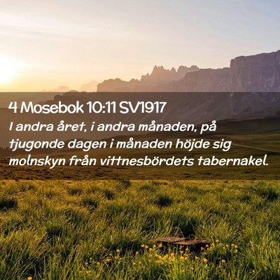 Picture 02 - 4 Mosebok 10:11 SV1917 - I andra året, i andra månaden, på tjugonde - Bible Verse Picture