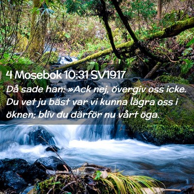Picture 02 - 4 Mosebok 10:31 SV1917 - Då sade han: »Ack nej, övergiv oss icke. Du - Bible Verse Picture
