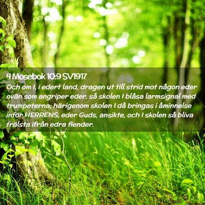 Picture 02 - 4 Mosebok 10:9 SV1917 - Och om I, i edert land, dragen ut till strid mot - Bible Verse Picture
