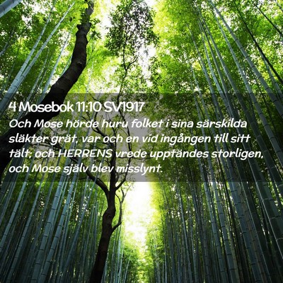 Picture 02 - 4 Mosebok 11:10 SV1917 - Och Mose hörde huru folket i sina särskilda - Bible Verse Picture