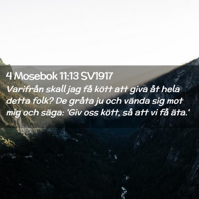Picture 02 - 4 Mosebok 11:13 SV1917 - Varifrån skall jag få kött att giva åt hela - Bible Verse Picture