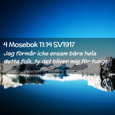 Picture 02 - 4 Mosebok 11:14 SV1917 - Jag förmår icke ensam bära hela detta folk, ty - Bible Verse Picture