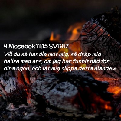 Picture 02 - 4 Mosebok 11:15 SV1917 - Vill du så handla mot mig, så dräp mig hellre - Bible Verse Picture