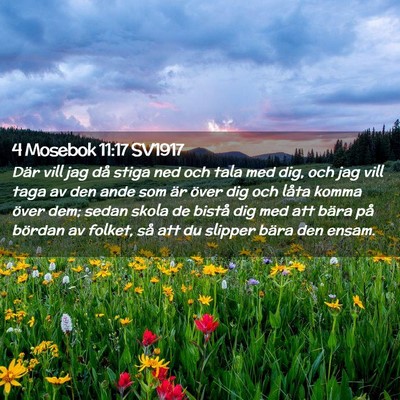 Picture 02 - 4 Mosebok 11:17 SV1917 - Där vill jag då stiga ned och tala med dig, och - Bible Verse Picture