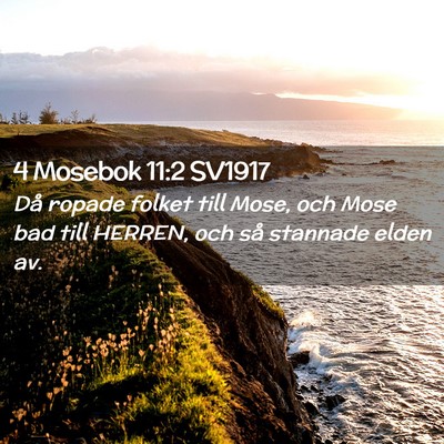 Picture 02 - 4 Mosebok 11:2 SV1917 - Då ropade folket till Mose, och Mose bad till - Bible Verse Picture