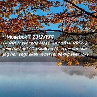 Picture 02 - 4 Mosebok 11:23 SV1917 - HERREN svarade Mose: »Är då HERRENS arm för - Bible Verse Picture