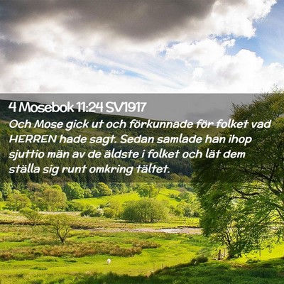 Picture 02 - 4 Mosebok 11:24 SV1917 - Och Mose gick ut och förkunnade för folket vad - Bible Verse Picture