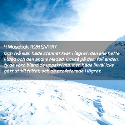 Picture 02 - 4 Mosebok 11:26 SV1917 - Och två män hade stannat kvar i lägret; den - Bible Verse Picture