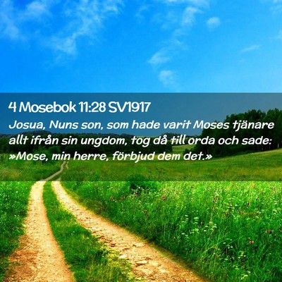 Picture 02 - 4 Mosebok 11:28 SV1917 - Josua, Nuns son, som hade varit Moses tjänare - Bible Verse Picture