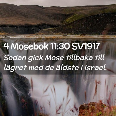Picture 02 - 4 Mosebok 11:30 SV1917 - Sedan gick Mose tillbaka till lägret med de - Bible Verse Picture