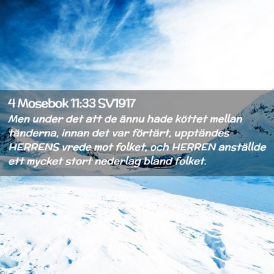Picture 02 - 4 Mosebok 11:33 SV1917 - Men under det att de ännu hade köttet mellan - Bible Verse Picture