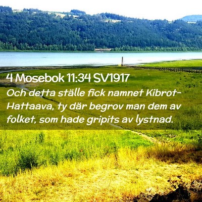Picture 02 - 4 Mosebok 11:34 SV1917 - Och detta ställe fick namnet Kibrot-Hattaava, ty - Bible Verse Picture