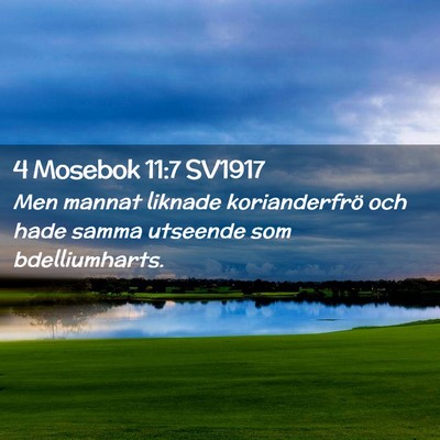 Picture 02 - 4 Mosebok 11:7 SV1917 - Men mannat liknade korianderfrö och hade samma - Bible Verse Picture