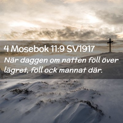 Picture 02 - 4 Mosebok 11:9 SV1917 - När daggen om natten föll över lägret, föll - Bible Verse Picture