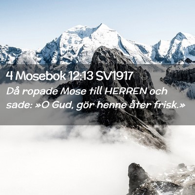Picture 02 - 4 Mosebok 12:13 SV1917 - Då ropade Mose till HERREN och sade: »O Gud, - Bible Verse Picture