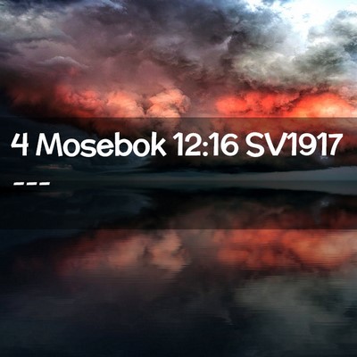 Picture 02 - 4 Mosebok 12:16 SV1917 -  - Bible Verse Picture