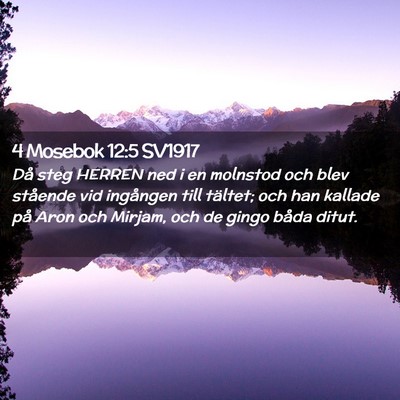 Picture 02 - 4 Mosebok 12:5 SV1917 - Då steg HERREN ned i en molnstod och blev - Bible Verse Picture