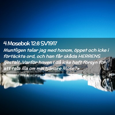 Picture 02 - 4 Mosebok 12:8 SV1917 - Muntligen talar jag med honom, öppet och icke i - Bible Verse Picture