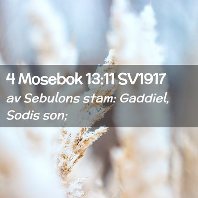 Picture 02 - 4 Mosebok 13:11 SV1917 - av Sebulons stam: Gaddiel, Sodis - Bible Verse Picture