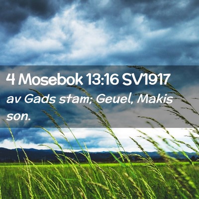 Picture 02 - 4 Mosebok 13:16 SV1917 - av Gads stam; Geuel, Makis - Bible Verse Picture