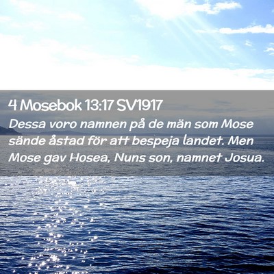 Picture 02 - 4 Mosebok 13:17 SV1917 - Dessa voro namnen på de män som Mose sände - Bible Verse Picture