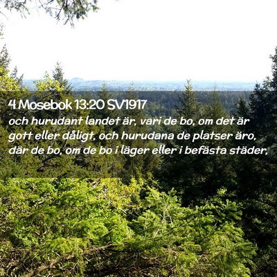 Picture 02 - 4 Mosebok 13:20 SV1917 - och hurudant landet är, vari de bo, om det är - Bible Verse Picture