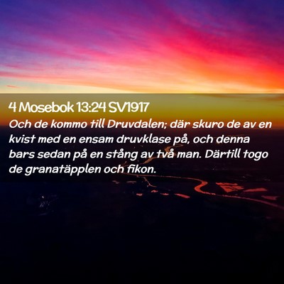 Picture 02 - 4 Mosebok 13:24 SV1917 - Och de kommo till Druvdalen; där skuro de av en - Bible Verse Picture