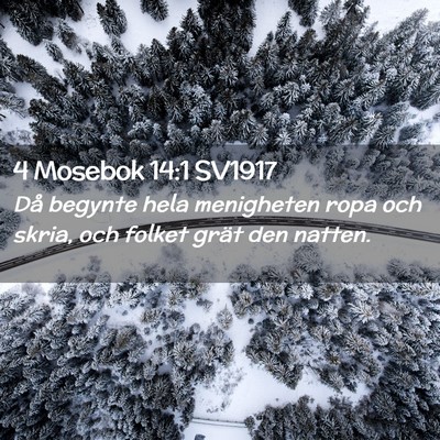 Picture 02 - 4 Mosebok 14:1 SV1917 - Då begynte hela menigheten ropa och skria, och - Bible Verse Picture