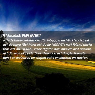 Picture 02 - 4 Mosebok 14:14 SV1917 - och de hava omtalat det för inbyggarna här i - Bible Verse Picture
